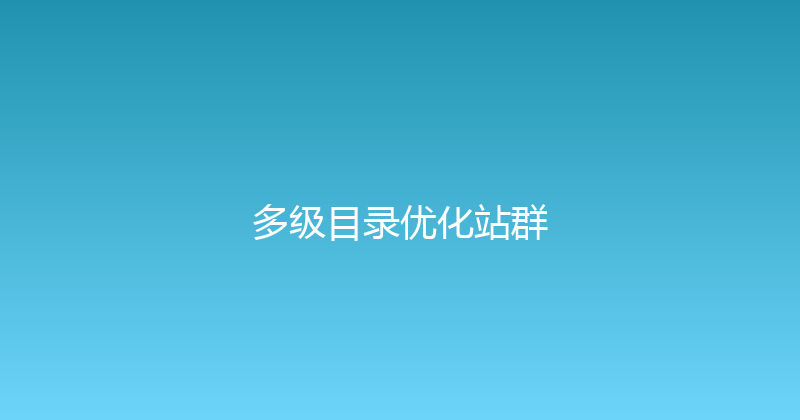 多级目录优化站群 封面图
