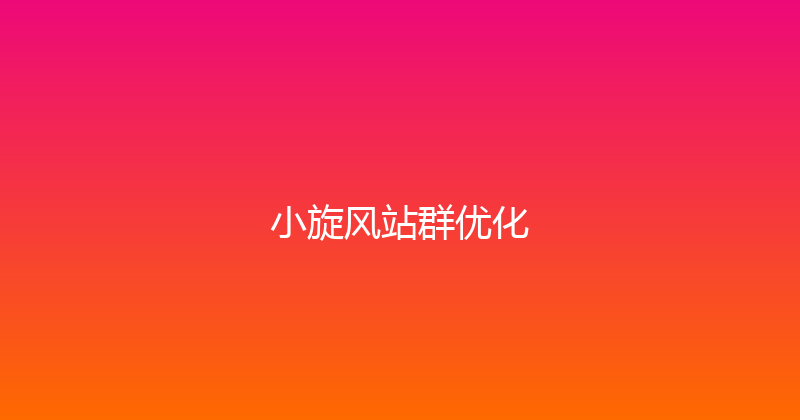 小旋风站群优化 封面图