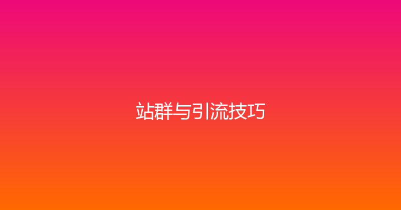 站群与引流技巧 封面图