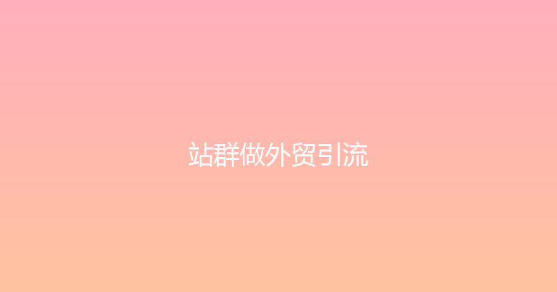 站群做外贸引流 封面图