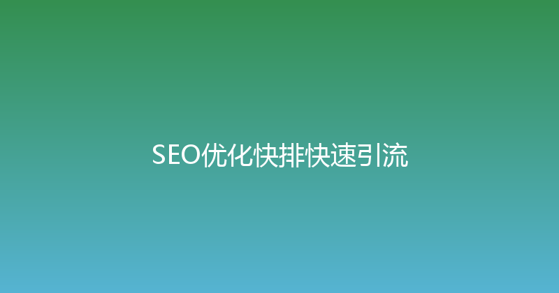 SEO优化快排快速引流 封面图